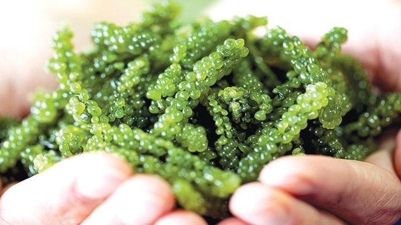 Đồ ăn vặt ít calo – Giải pháp hữu hiệu cho người ăn kiêng 3