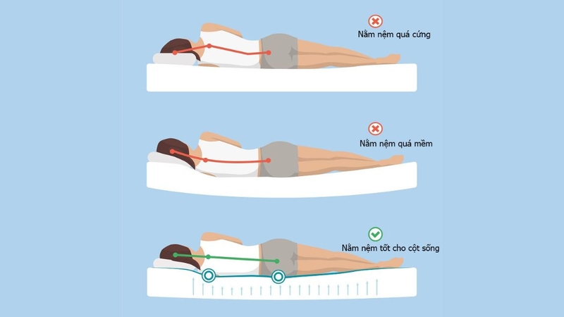 Nhà sản xuất đệm phân thành các mức độ cứng mềm khác nhau