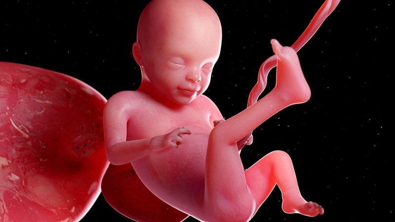 Độ dày bánh nhau là gì?