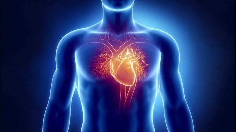 Dò động mạch vành là gì? Triệu chứng của dò động mạch vành 1