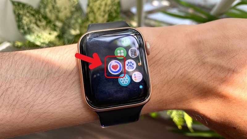 Đo huyết áp bằng Apple Watch được không? Cách đo huyết áp bằng Apple Watch như thế nào? 3