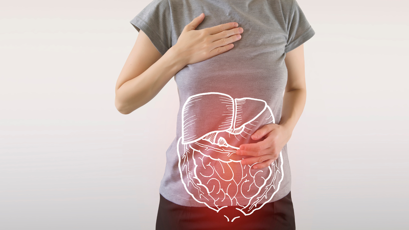 Cây Đỏ ngọn - vị thuốc thanh nhiệt hiệu quả 6