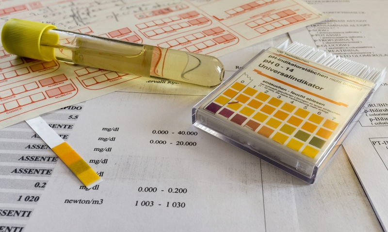 Độ pH trong cơ thể người: Bí quyết cân bằng độ pH từ bên trong 3