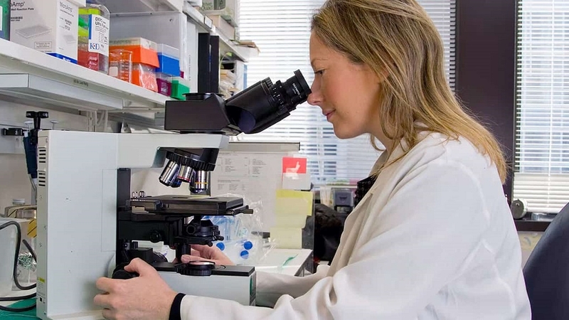 Đo tải lượng virus viêm gan C là gì? Phương pháp đo tải lượng virus viêm gan C 3