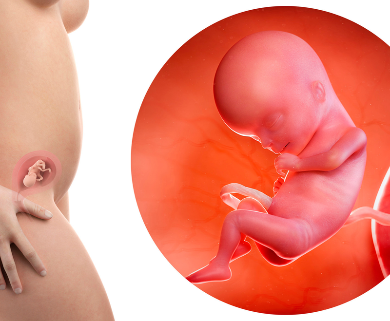 Đọc ngay 6 dấu hiệu nguy hiểm khi mang thai tháng thứ 4 1