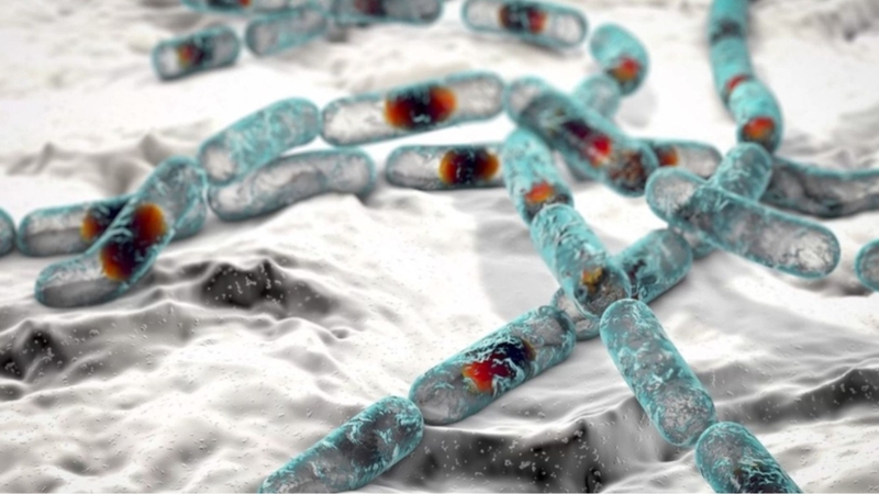 Cereulide là một loại độc tố sinh học do vi khuẩn Bacillus cereus