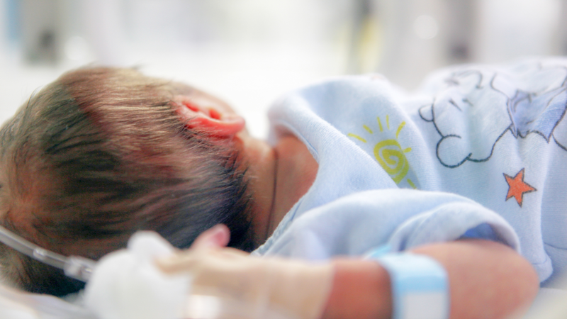 Nhiễm độc Cereulide đặc biệt nguy hiểm với trẻ sơ sinh và trẻ nhỏ