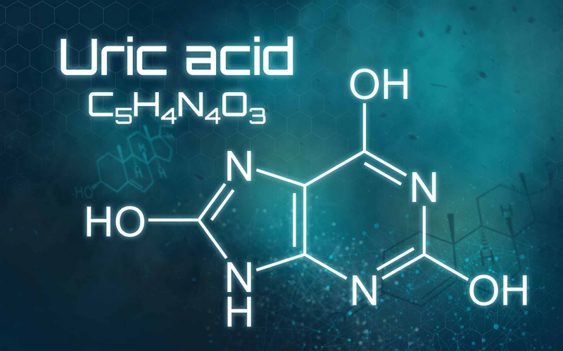 Các bước xét nghiệm acid uric bạn cần biết 1