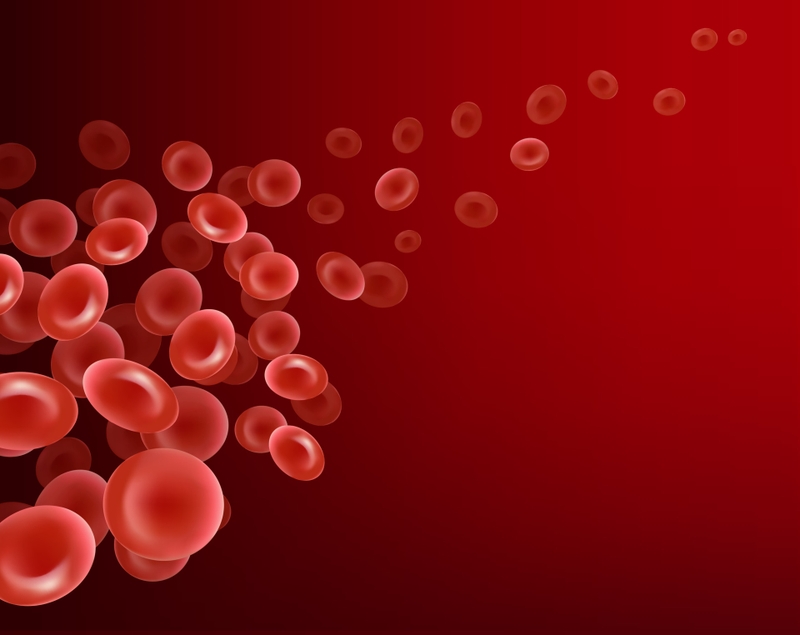 Đời sống hồng cầu trung bình khoảng bao nhiêu ngày? 2
