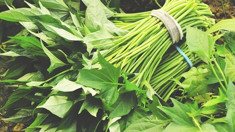 Bật mí top 8 loại rau trị táo bón hiệu quả bạn không ngờ đến 3