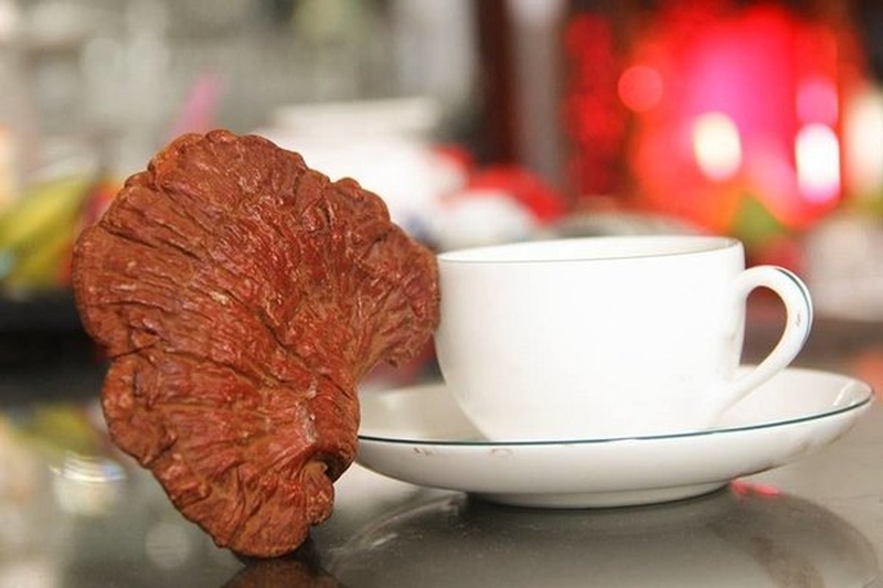 khi-nao-nen-dung-nam-linh-chi-thi-se-phu-hop-2