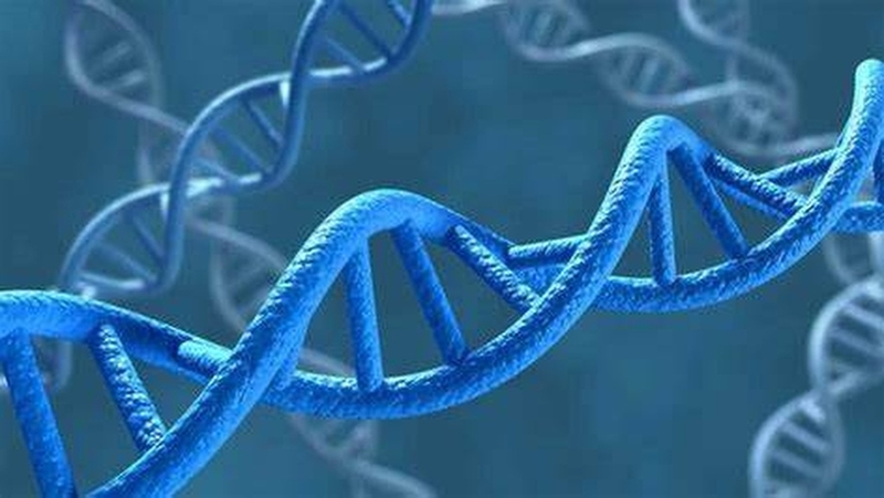 Động kinh thể bụng là gì? Hiểu biết nguyên nhân và cách điều trị hiệu quả 2