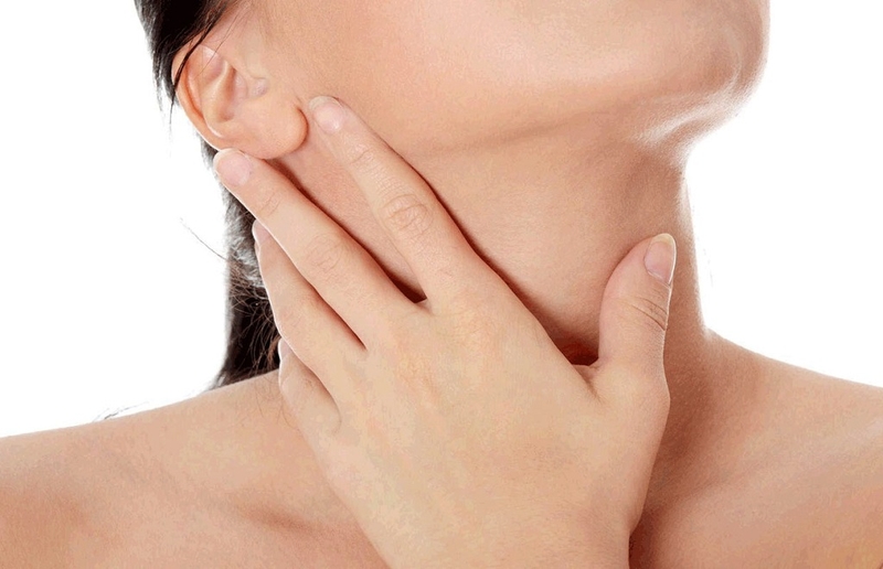 Động mạch giáp trên là gì? Cấu trúc và chức năng của động mạch giáp trên 2