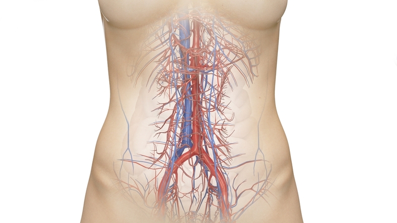 Động mạch thân tạng là gì? Tìm hiểu về phình động mạch thân tạng 1