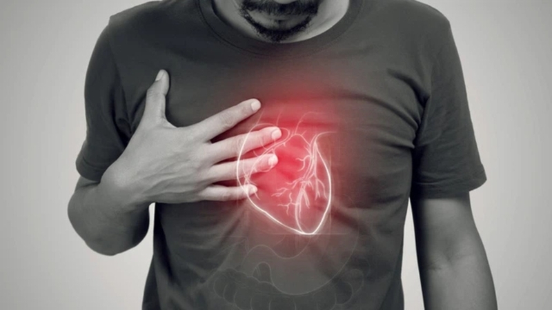 Động mạch trụ: Cấu trúc giải phẫu, chức năng và các bệnh lý liên quan 2