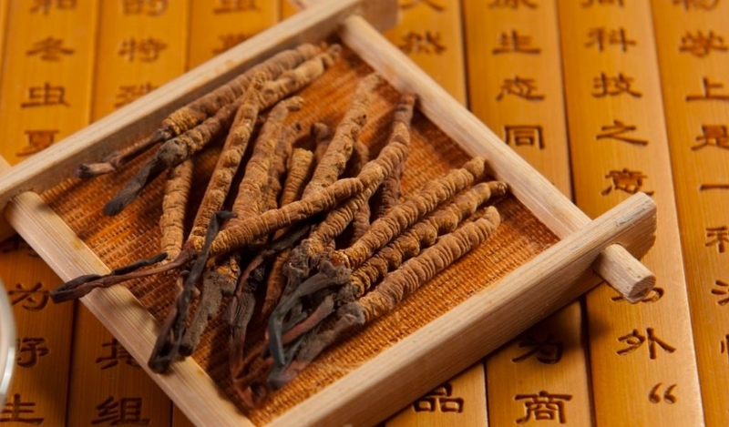 Đông trùng hạ thảo có tốt cho phổi không? Cách sử dụng hiệu quả 3