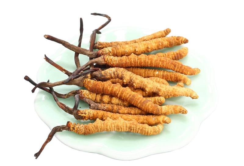 Đông trùng hạ thảo giá bao nhiêu 1kg