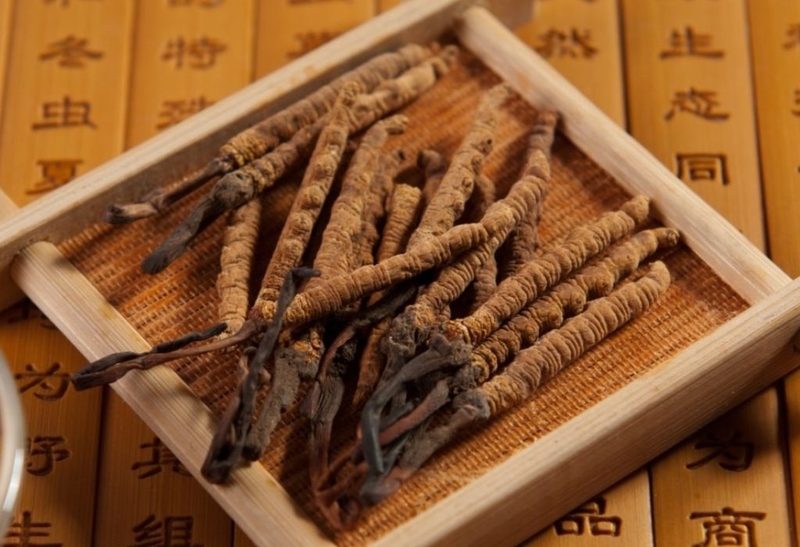 1kg đông trùng hạ thảo giá bao nhiêu