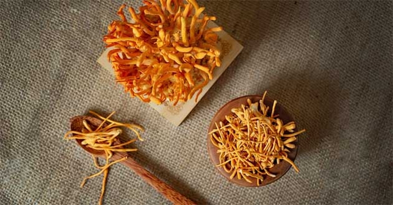 Đông trùng hạ thảo khô là gì? Công dụng và cách dùng hiệu quả