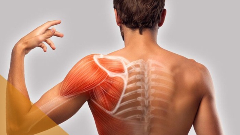 Đông trùng hạ thảo là gì? Công dụng và cách sử dụng 3