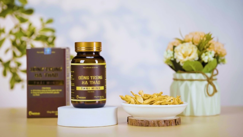 Đông trùng hạ thảo là gì? Công dụng và cách sử dụng 4