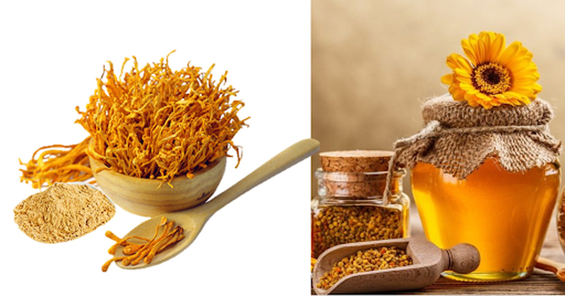 Đông trùng hạ thảo ngâm mật ong và những điều mà bạn nên biết 2