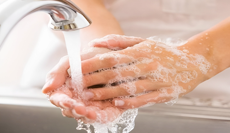 Động vật cắn phải làm sao? Cách sơ cứu khi động vật cắn 3