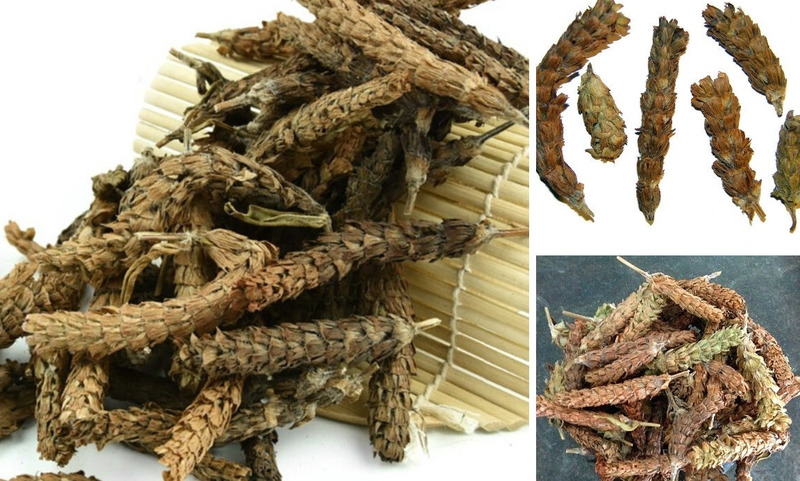 Top 5 bài thuốc Đông y chữa đau mắt đỏ hiệu quả 2