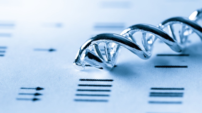 Kết quả âm tính cho thấy không phát hiện biến thể gây bệnh ở gen BRCA1 và BRCA2 trong phạm vi xét nghiệm.