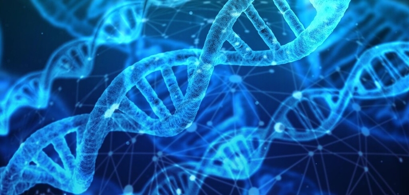 Đột biến mất đoạn nhiễm sắc thể là gì? Tìm hiểu về đột biến mất đoạn nhiễm sắc thể 4q 2