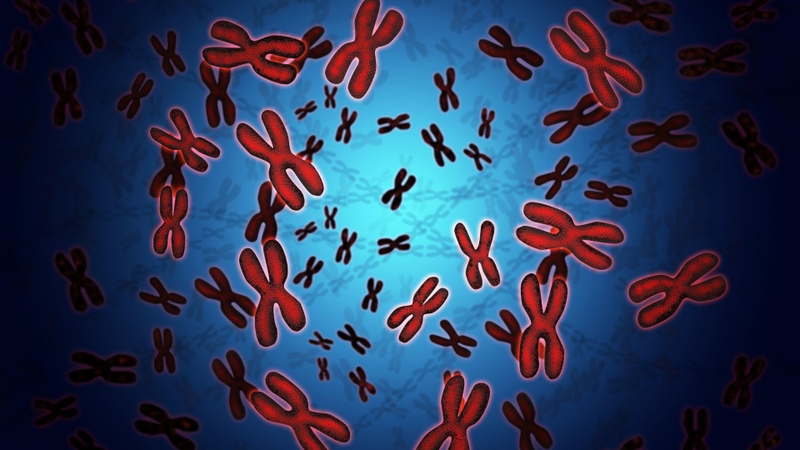 Đột biến mất đoạn nhiễm sắc thể là gì? Tìm hiểu về đột biến mất đoạn nhiễm sắc thể 4q 1