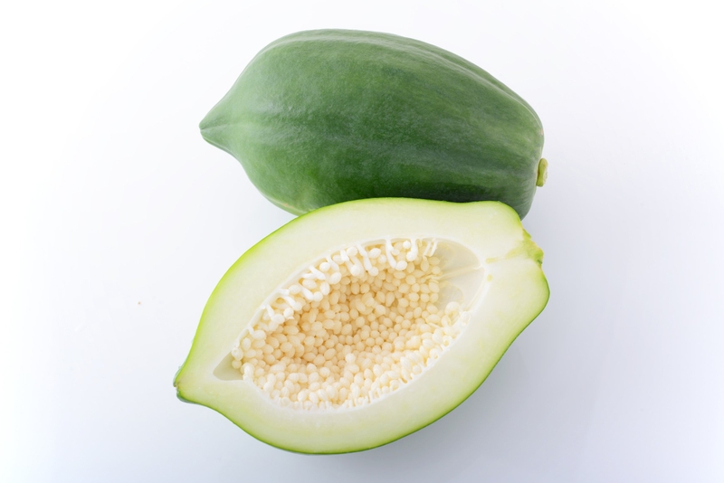 Đu đủ xanh ăn sống được không? Công dụng khi ăn đủ đủ xanh sống 3