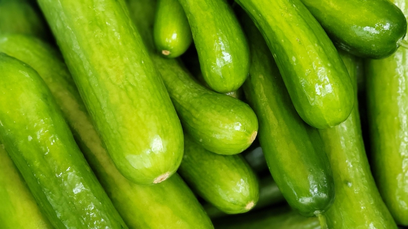 Loại dưa này còn hỗ trợ hấp thu canxi nhờ vitamin K dồi dào