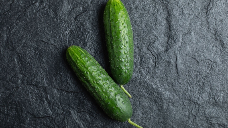 Dưa chuột bao tử là dạng dưa có kích thước nhỏ, vỏ ngoài sần nhẹ