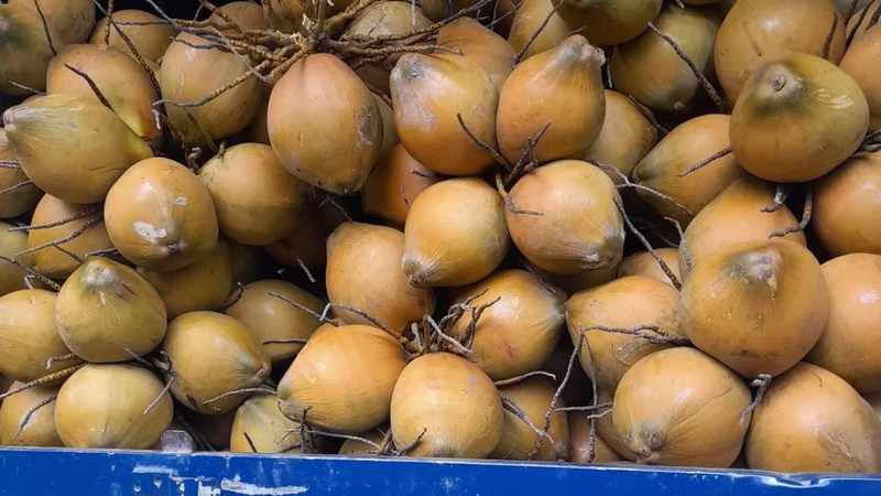 Nếu dùng đúng cách, dừa dâu mang đến nhiều lợi ích sức khỏe