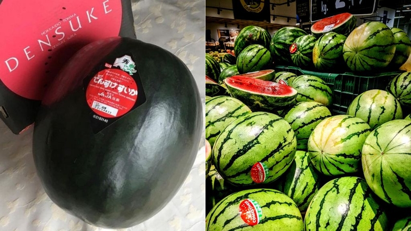 Dưa hấu Densuke khác gì với dưa hấu thường? Có tốt không? 1