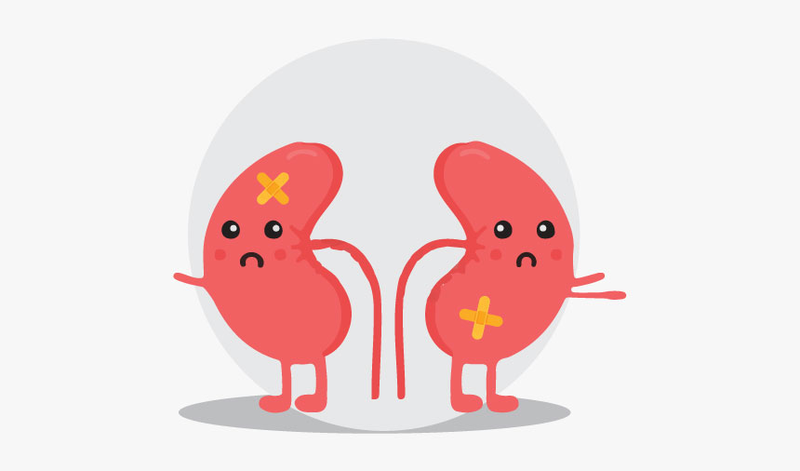 Dưa hấu kỵ gì? Những điều cấm kỵ khi ăn dưa hấu không phải ai cũng biết3