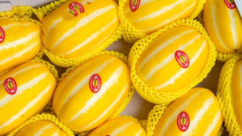 Dưa lê Hàn Quốc và những lợi ích sức khỏe tuyệt vời 1