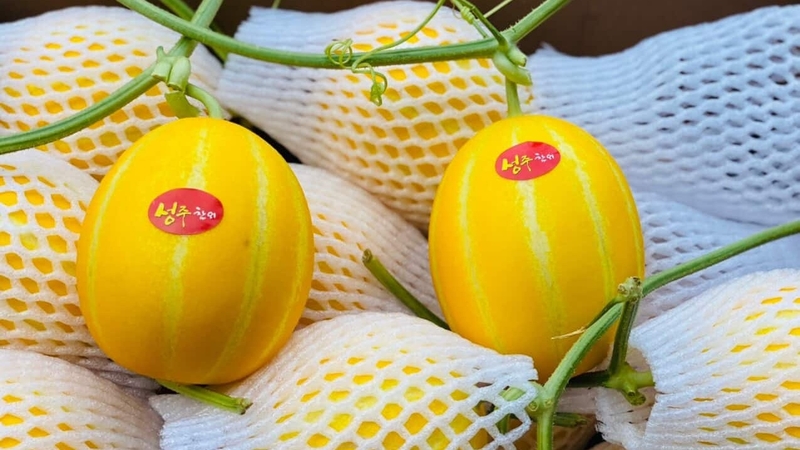 Dưa lê Hàn Quốc và những lợi ích sức khỏe tuyệt vời 2