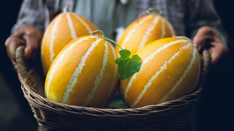 Dưa lê Hàn Quốc và những lợi ích sức khỏe tuyệt vời 4