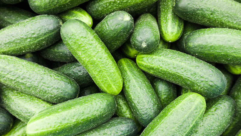 Dưa leo mang đến nhiều lợi ích tuyệt vời cho sức khỏe