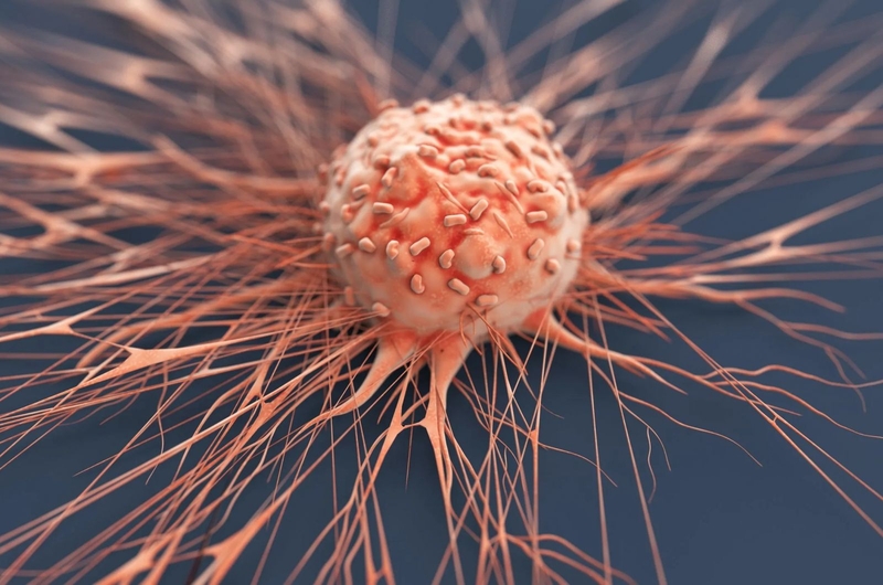 dưa lưới bao nhiêu calo 3