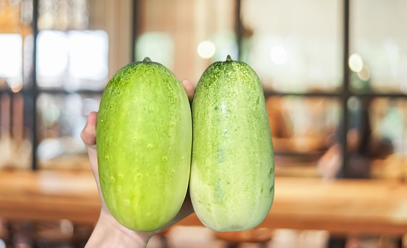 Dưa mèo: Thành phần dinh dưỡng và lợi ích sức khỏe bạn cần biết 2