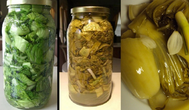 Dưa muối xổi là gì? Ăn dưa muối xổi có tốt không? 1