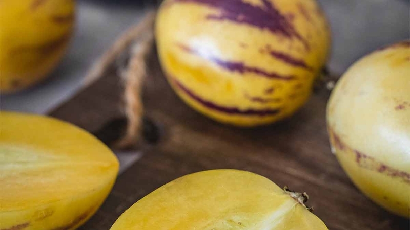 Dưa Pepino: Khám phá lợi ích sức khỏe và dinh dưỡng 1