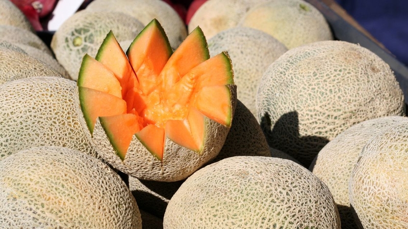 Dưa vàng có nóng không? Giải đáp chi tiết dưới góc độ khoa học 4