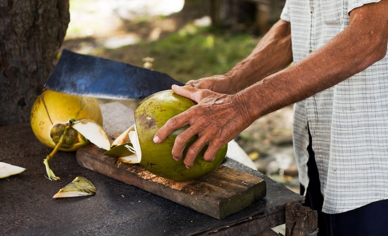 Khám phá thành phần dinh dưỡng và lợi ích sức khỏe từ trái dừa xiêm 4