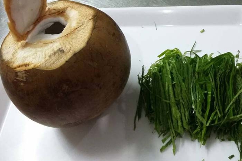 Chữa Gout bằng dừa xiêm và lá trầu - Sự kết hợp hoàn hảo cho bệnh nhân Gout