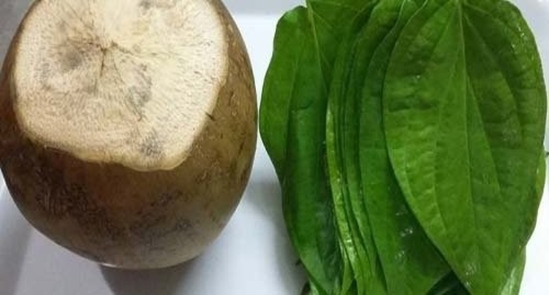 Chữa Gout bằng dừa xiêm và lá trầu - Sự kết hợp hoàn hảo cho bệnh nhân Gout