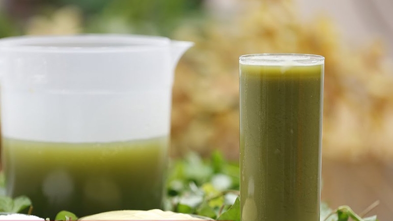 Dùng cây cỏ mực làm đẹp da đơn giản tại nhà 2